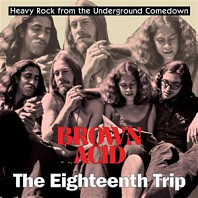 V/A - Brown Acid: the 18th Trip