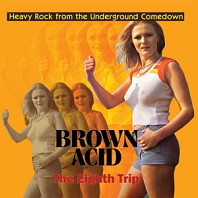 V/A - Brown Acid: the Eighth Trip