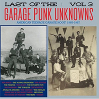 Last of the Garage Punk Unknowns 3