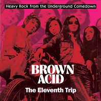 Various Artists - Brown Acid: the Eleventh Trip