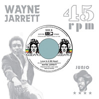Wayne Jarrett& Roots Radics - 7-Love In a Mi Heart/Blood On His Lip