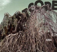 Wildbirds & Peacedrums - Heartcore