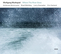 Wolfgang Muthspiel - Where the River Goes