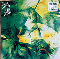 Lucid Express - Instant Comfort