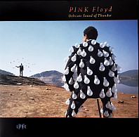 Pink Floyd - Delicate Sound of Thunder