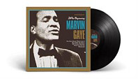 Marvin Gaye - In the Beginning