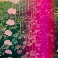 Snowpoet - Heartstrings