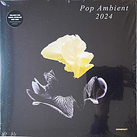 Pop Ambient 2024