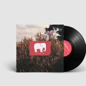 Elephant (41) - Elephant