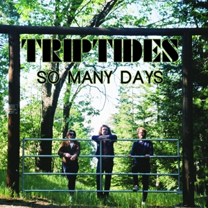 Triptides - So Many Days