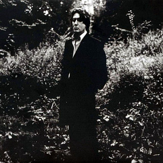 Alain Bashung - L'imprudence