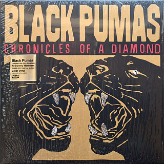 Black Pumas - Chronicles of a Diamond