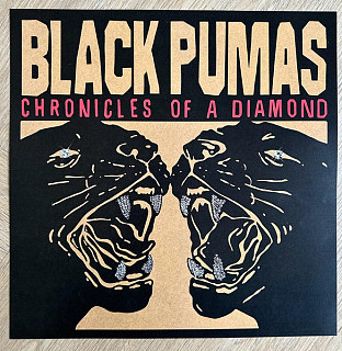 Black Pumas - Chronicles of a Diamond