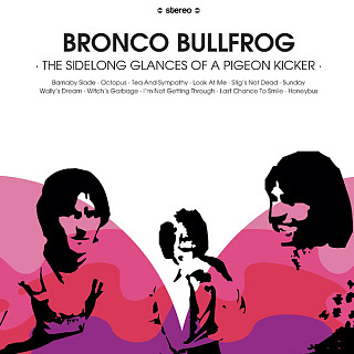 Bronco Bullfrog - The Sidelong Glances of a Pigeon Kicker