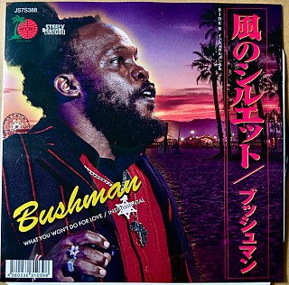 Bushman (3) - What You Won't Do For Love