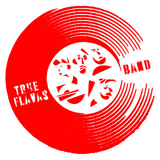 True Flavas Band - True Flavas