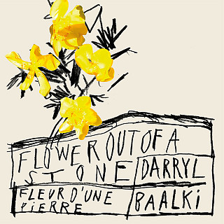 Darryl Baalki - Flower Out Of A Stone