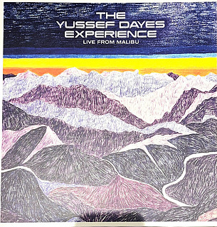 The Yussef Dayes Experience - Live from Malibu