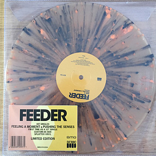 Feeder - Feeling A Moment & Pushing The Senses