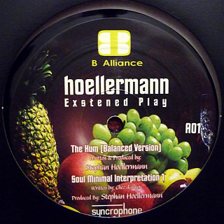 Stephan Hoellermann - Exstened Play