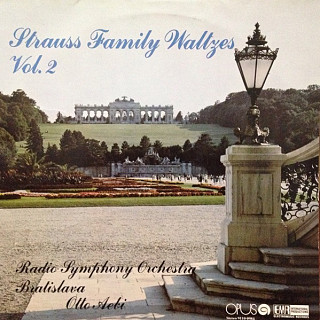 Johann Strauss - Strauss Family Waltzes Vol. 2