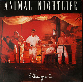 Animal Nightlife - Shangri-La