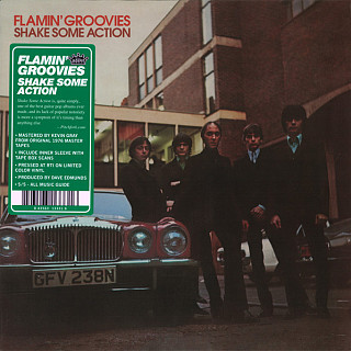 Flamin Groovies - Shake Some Action