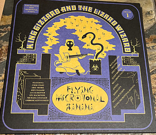 King Gizzard & the Lizard Wizzard - Flying Microtonal Banana