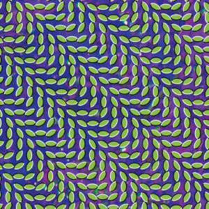 Animal Collective - Merriweather Post Pavilli