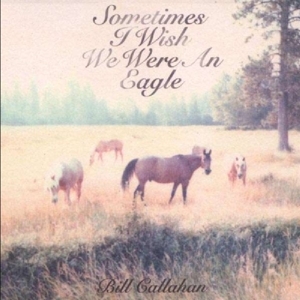 Bill Callahan - Sometimes I Wish We Were