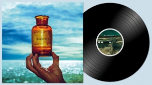 Blackfield - V