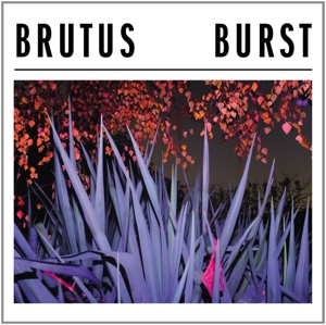 Brutus (23) - Burst