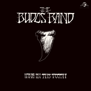 Budos Band - Long In the Tooth