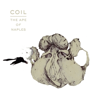 Coil - Ape of Naples