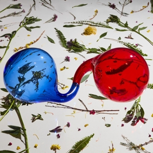 Dirty Projectors - Lamp Lit Prose