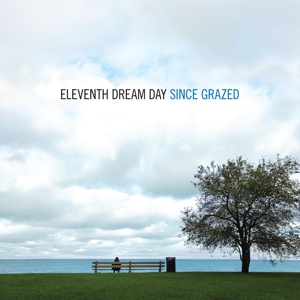 Eleventh Dream Day - Since Grazed