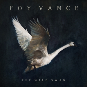 Foy Vance - Wild Swan