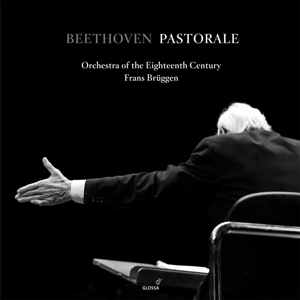 Frans Brüggen - Beethoven: Symphony 6 - Pastorale