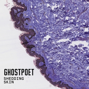 Ghostpoet - Shedding Skin