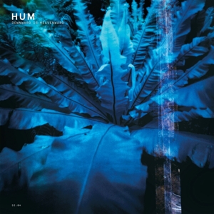 Hum (2) - Downward is Heavenward