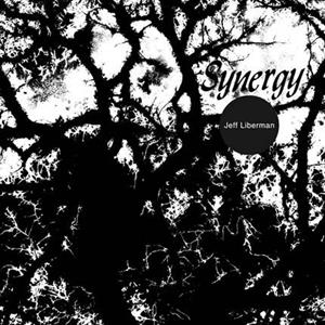 Jeff Liberman - Synergy