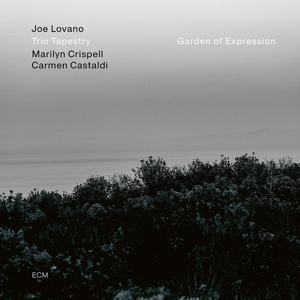 Joe -Trio Tapestry- Lovano - Garden of Expression