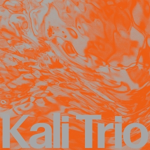 Kali Trio - The Playful Abstract