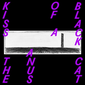 Kiss the Anus of a Black Cat - If the Sky Falls, We Shall Catch Larks