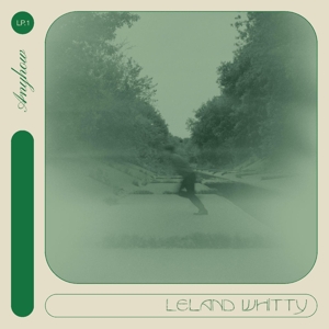 Leland Whitty - Anyhow