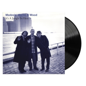 Medeski Martin & Wood - It's a Jungle In Here