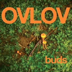 Ovlov - Buds