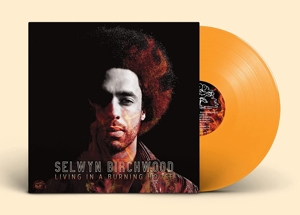 Selwyn Birchwood - Living In a Burning House