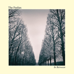 The Feelies - In Between