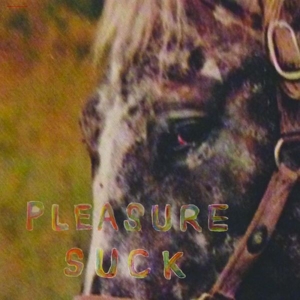 The Spirit Of The Beehive - Pleasure Suck